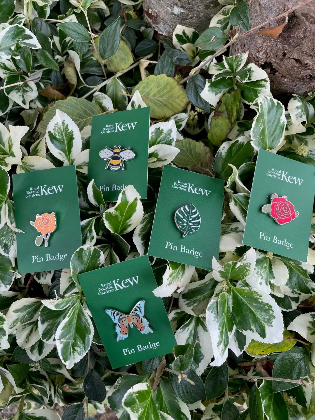 Kew gardens pin badges