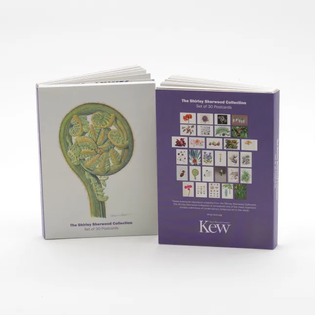 Postcard Book, A6, 30 postcards