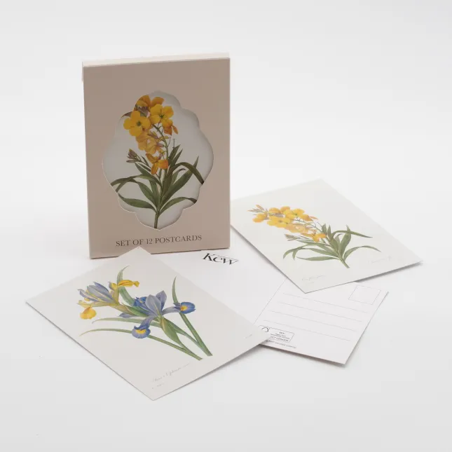 Wallet, Postcard, 12 cards