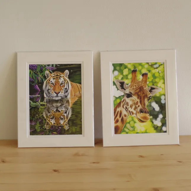 Print, Mounted, 24x16 