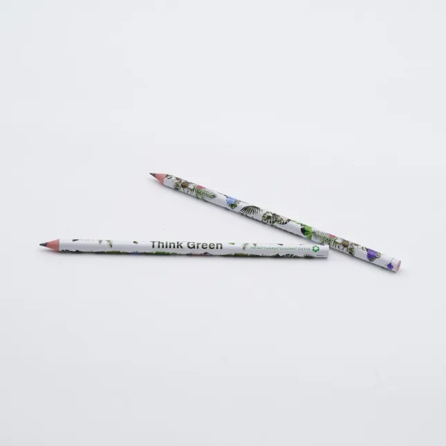 BIC® Evolution® Ecolutions® Cut pencil