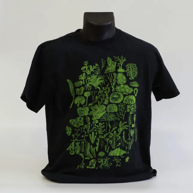 T-shirt, Adult, Printed 1 colour.